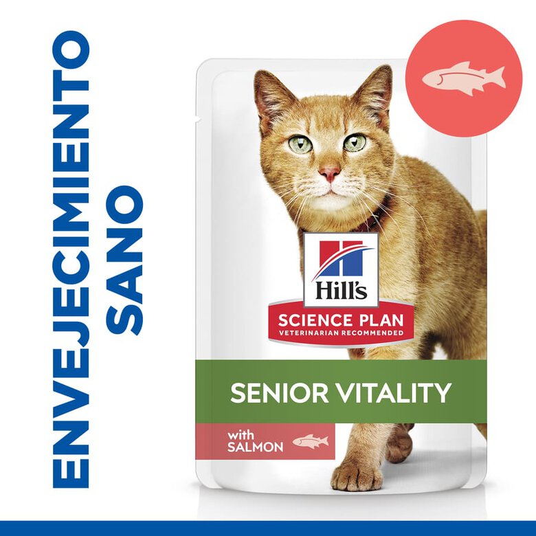 Hill's Adult Mature Science Plan Youthful Vitality Salmão em Molho saqueta para gatos, , large image number null